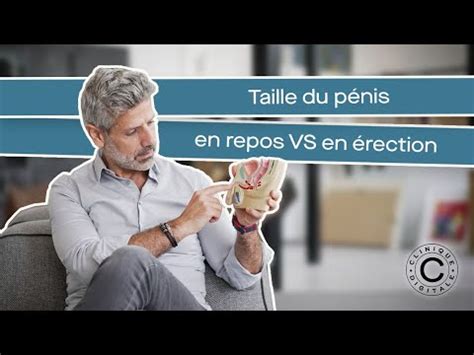 Pénis de sang ou de chair : différence, explication, taille